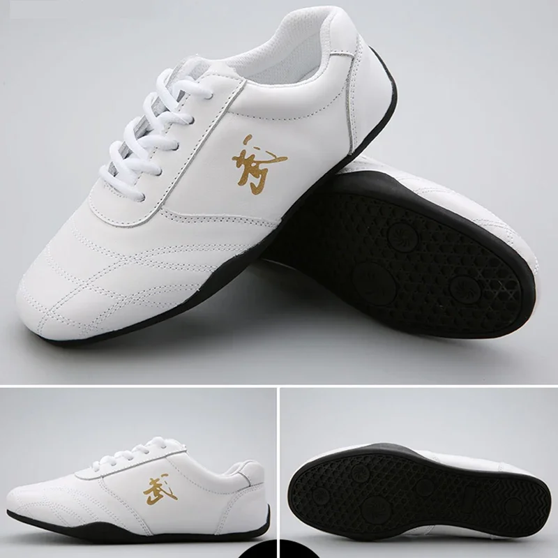 2026 Kung Fu Shoes Tai Chi Win - Men'S Shoes For Gym ulasan dan harga
